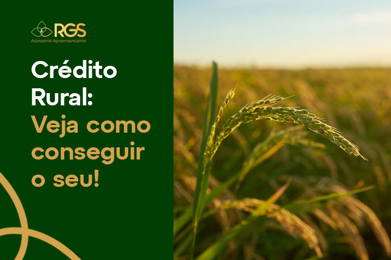 PROJETOS TÉCNICOS DE CRÉDITO RURAL