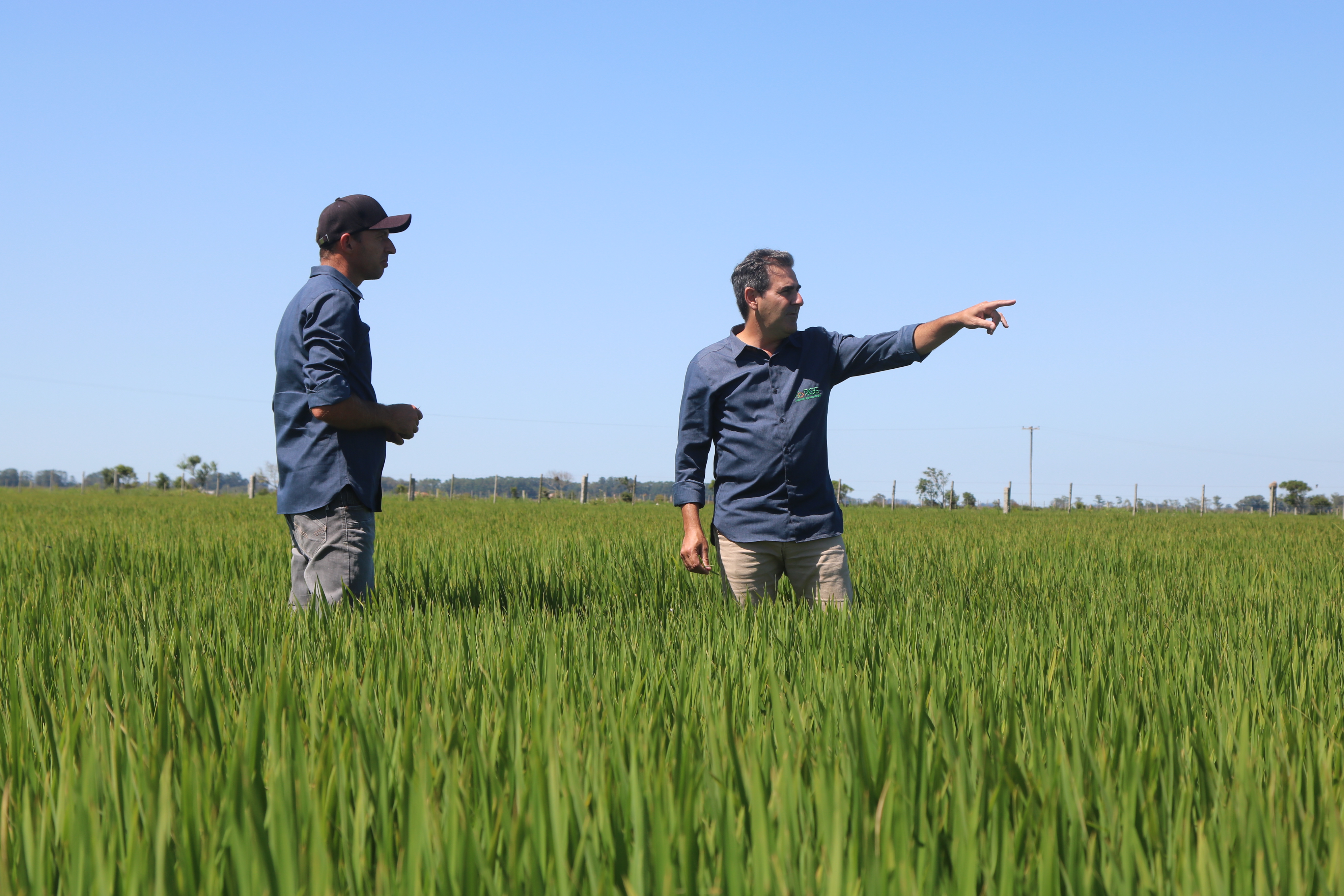 Banrisul vai investir R$ 7 bilhões em crédito rural